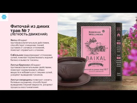 Хвощ обладает противовоспалительным действием, способствует очищению тканей суставов от солевых отложений,