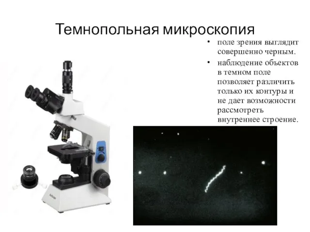 Темнопольная микроскопия поле зрения выглядит совершенно черным. наблюдение объектов в темном