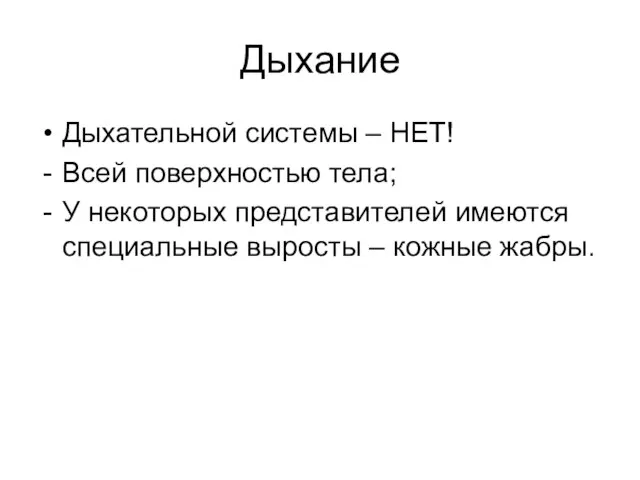 Дыхание Дыхательной системы – НЕТ! Всей поверхностью тела; У некоторых представителей