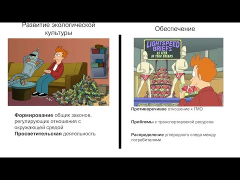 Обеспечение Развитие экологической культуры Формирование общих законов, регулирующих отношения с окружающей