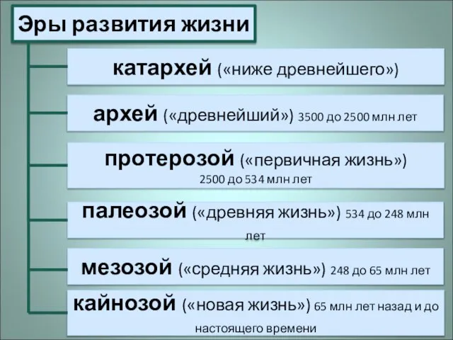 Эры развития жизни катархей («ниже древнейшего») палеозой («древняя жизнь») 534 до