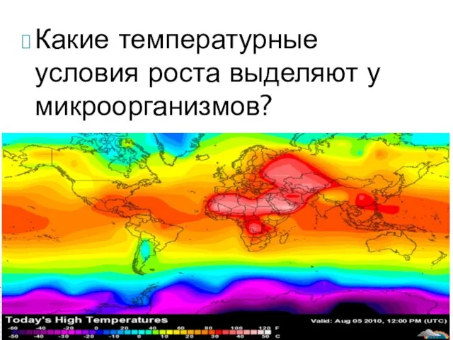 Какие температурные условия роста выделяют у микроорганизмов?