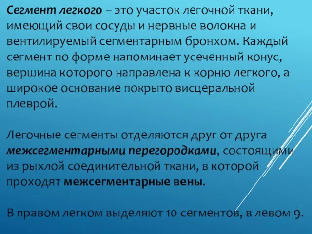 Сегмент легкого – это участок легочной ткани, имеющий свои сосуды и