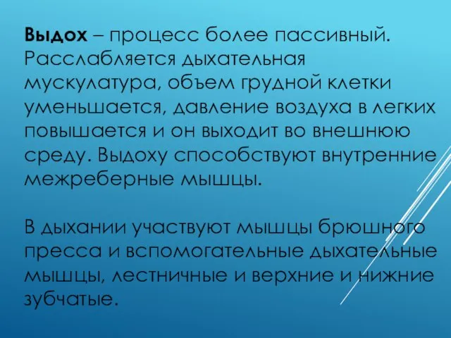 Выдох – процесс более пассивный. Расслабляется дыхательная мускулатура, объем грудной клетки