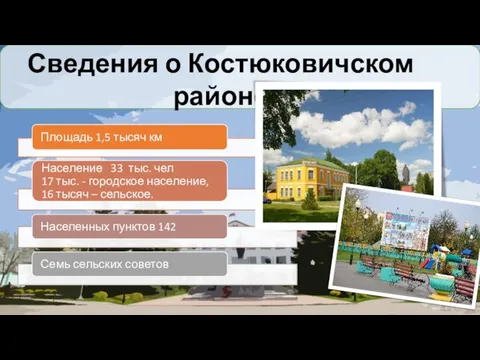 Сведения о Костюковичском районе