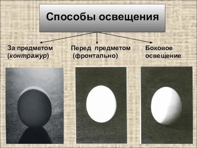 Способы освещения Перед предметом (фронтально) За предметом (контражур) Боковое освещение