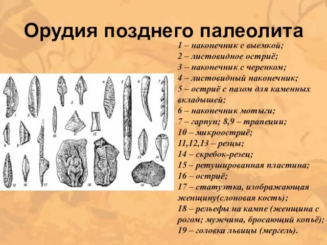 Орудия позднего палеолита 1 – наконечник с выемкой; 2 – листовидное