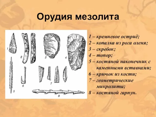 Орудия мезолита 1 – кремневое остриё; 2 – копалка из рога