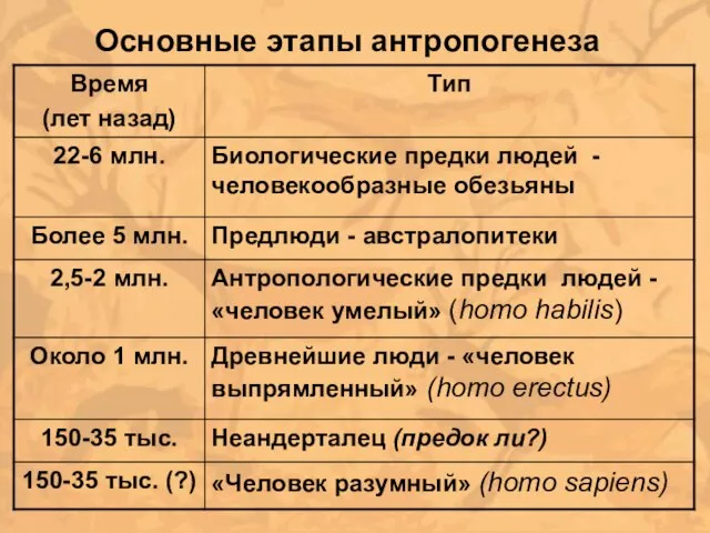 Основные этапы антропогенеза