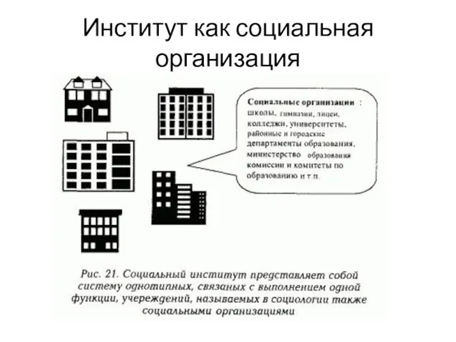 Институт как социальная организация