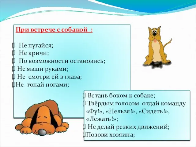 При встрече с собакой : Не пугайся; Не кричи; По возможности