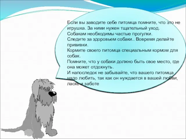 Если вы заводите себе питомца помните, что это не игрушка. За