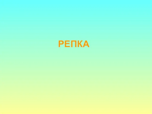 РЕПКА