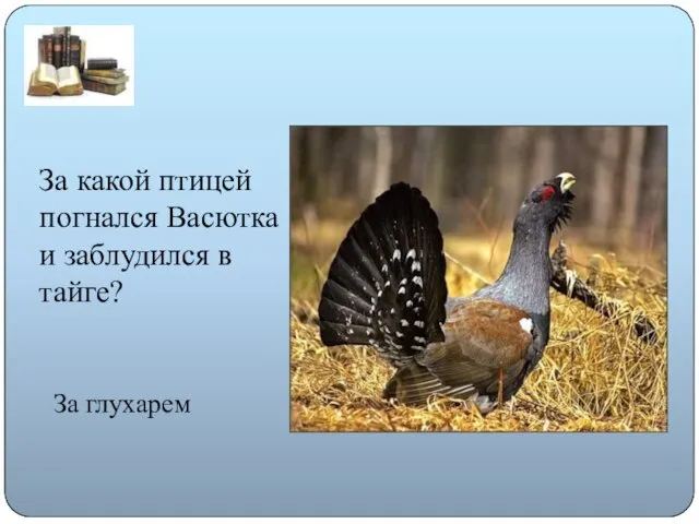 За какой птицей погнался Васютка и заблудился в тайге? За глухарем