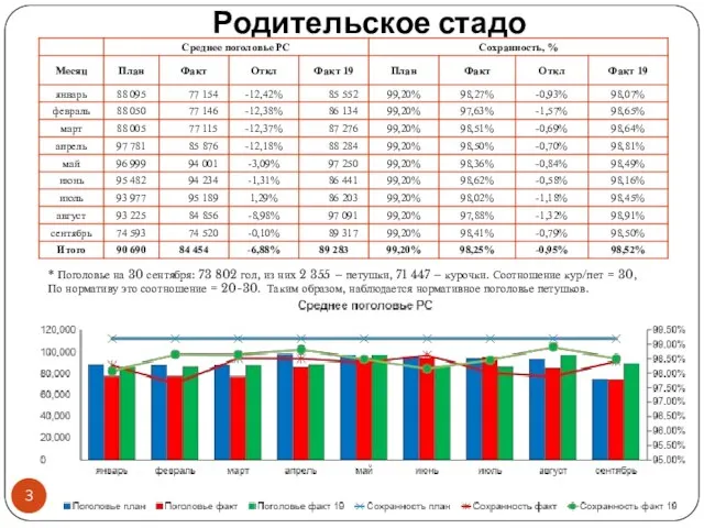 Родительское стадо * Поголовье на 30 сентября: 73 802 гол, из