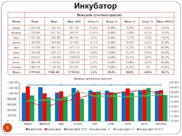 Инкубатор