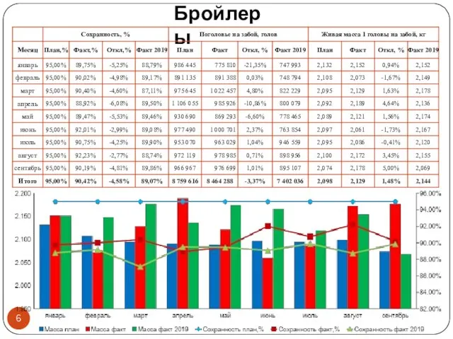 Бройлеры