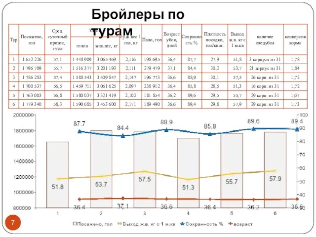 Бройлеры по турам