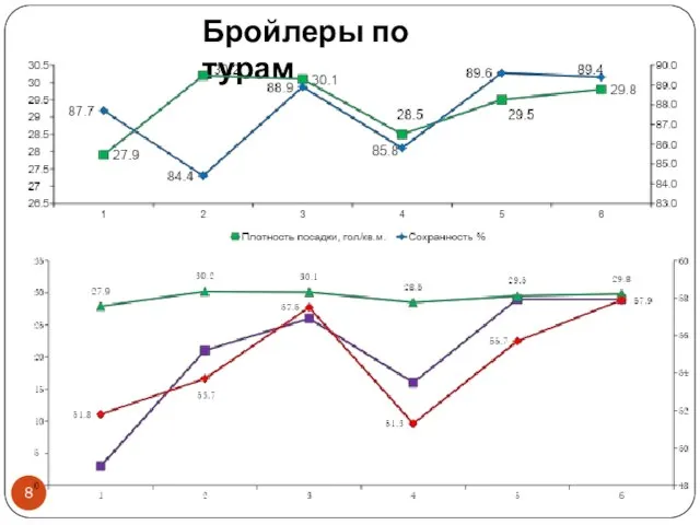 Бройлеры по турам