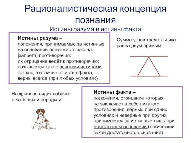 Рационалистическая концепция познания Истины разума и истины факта Истины разума –