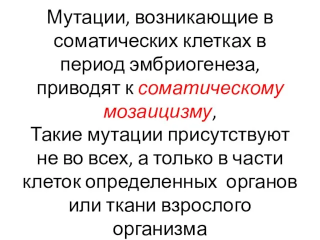 Мутации, возникающие в соматических клетках в период эмбриогенеза, приводят к соматическому