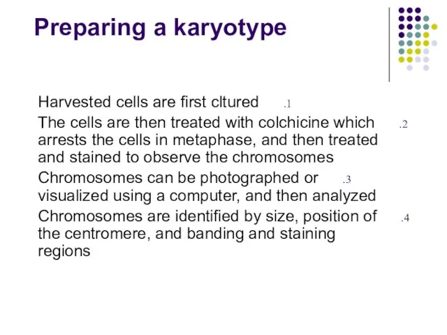 Preparing a karyotype Harvested cells are first cltured The cells are