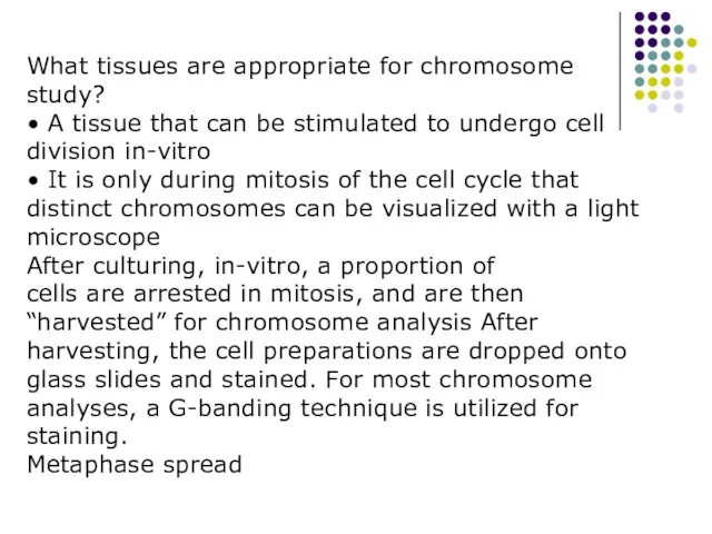 What tissues are appropriate for chromosome study? • A tissue that