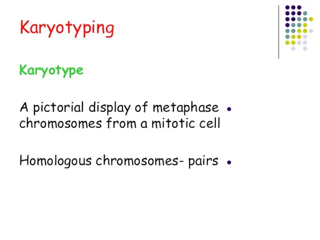 Karyotyping Karyotype A pictorial display of metaphase chromosomes from a mitotic cell Homologous chromosomes- pairs