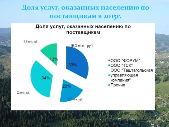Доля услуг, оказанных населению по поставщикам в 2015г. 16,3 млн. руб.