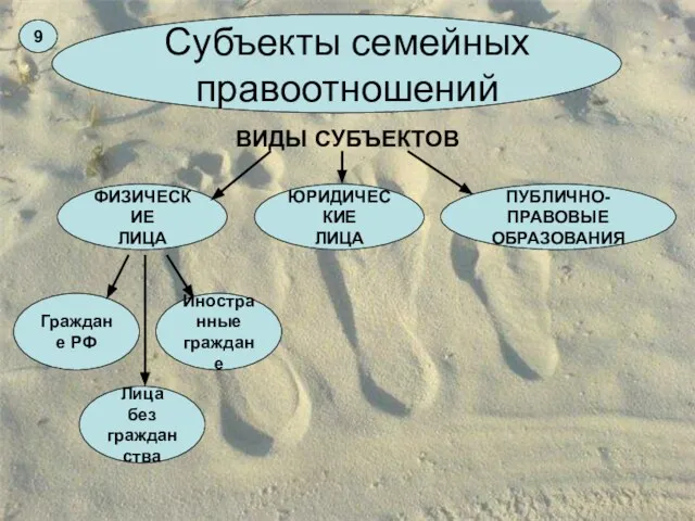 Субъекты семейных правоотношений ВИДЫ СУБЪЕКТОВ ФИЗИЧЕСКИЕ ЛИЦА ПУБЛИЧНО-ПРАВОВЫЕ ОБРАЗОВАНИЯ ЮРИДИЧЕСКИЕ ЛИЦА