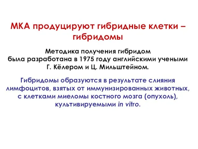 МКА продуцируют гибридные клетки – гибридомы Методика получения гибридом была разработана