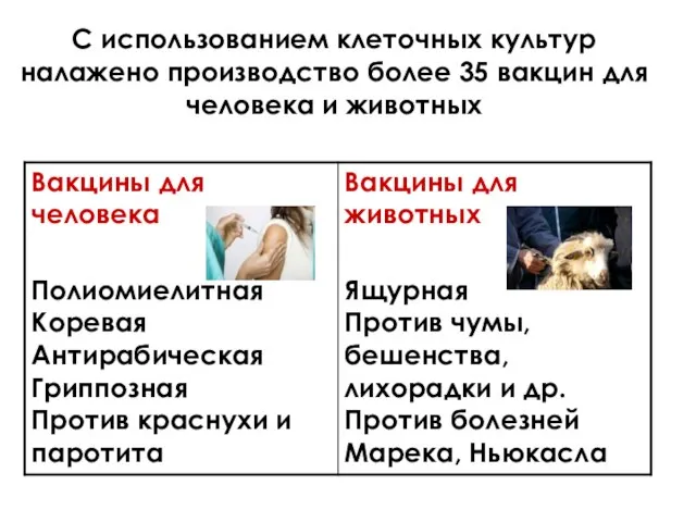 С использованием клеточных культур налажено производство более 35 вакцин для человека и животных