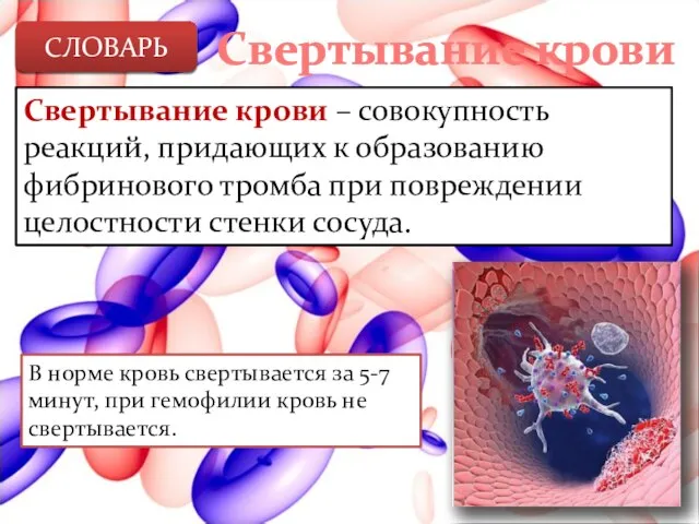 Свертывание крови Свертывание крови – совокупность реакций, придающих к образованию фибринового