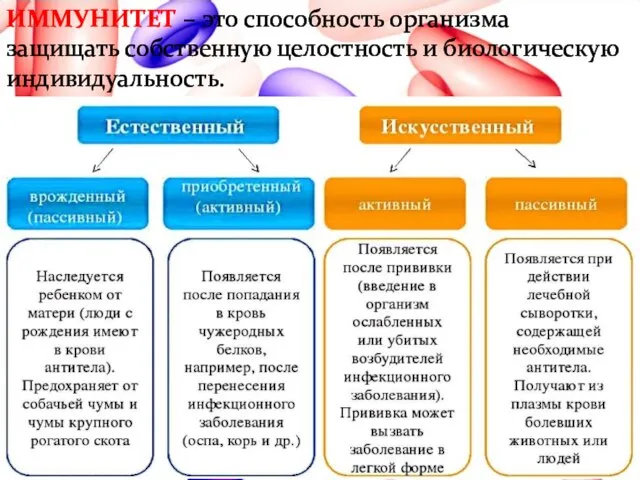 ИММУНИТЕТ – это способность организма защищать собственную целостность и биологическую индивидуальность.