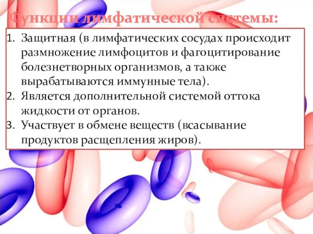 Функции лимфатической системы: Защитная (в лимфатических сосудах происходит размножение лимфоцитов и