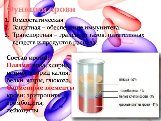 Функции крови Гомеостатическая Защитная – обеспечение иммунитета. Транспортная – транспорт газов,