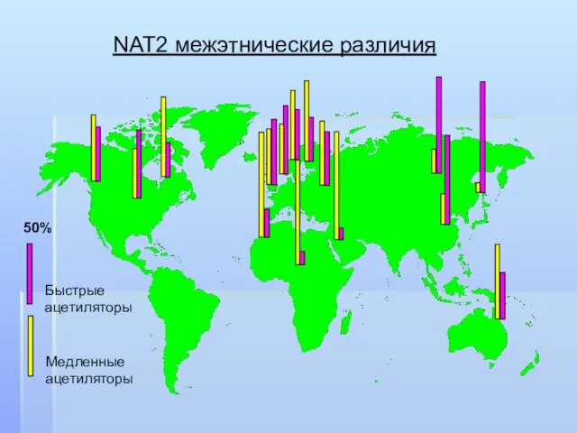 Быстрые ацетиляторы 50% Медленные ацетиляторы NAT2 межэтнические различия