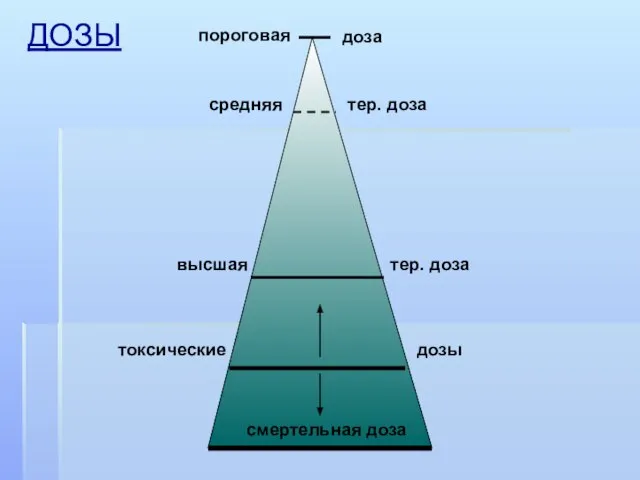 ДОЗЫ средняя тер. доза высшая пороговая доза тер. доза токсические дозы смертельная доза