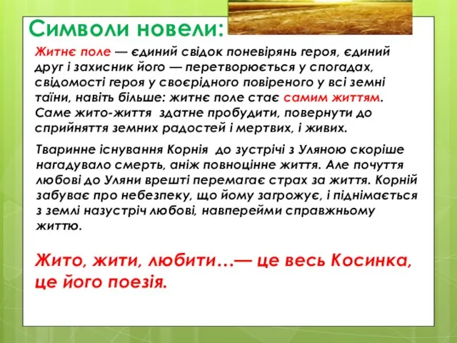 Символи новели: Житнє поле — єдиний свідок поневірянь героя, єдиний друг