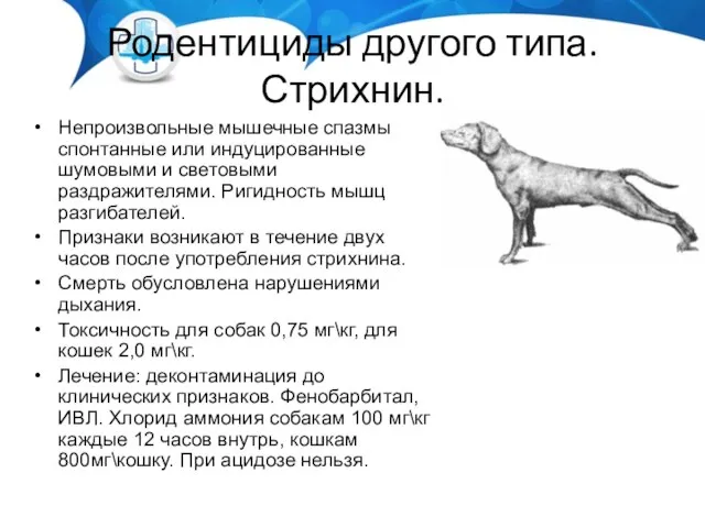 Родентициды другого типа. Стрихнин. Непроизвольные мышечные спазмы спонтанные или индуцированные шумовыми