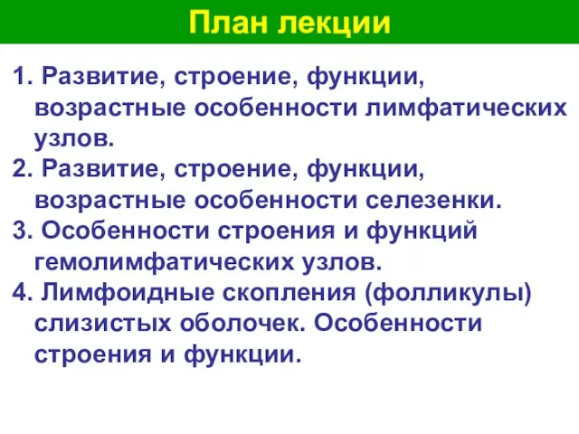 План лекции 1. Развитие, строение, функции, возрастные особенности лимфатических узлов. 2.