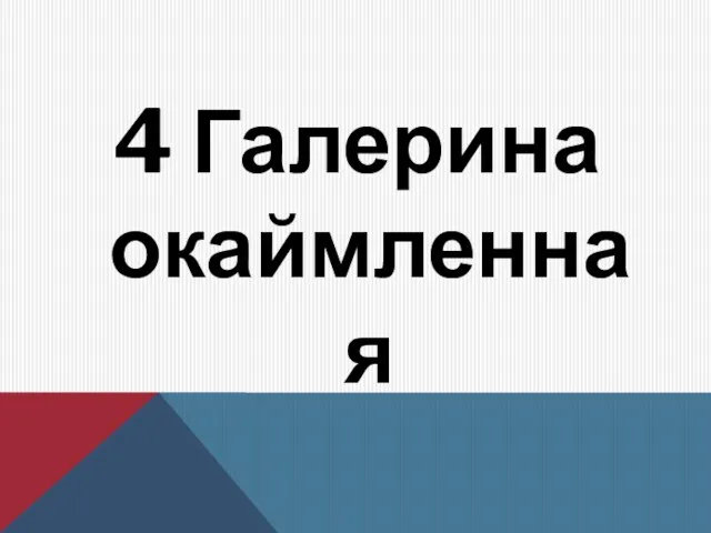 4 Галерина окаймленная