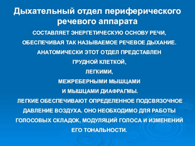 СОСТАВЛЯЕТ ЭНЕРГЕТИЧЕСКУЮ ОСНОВУ РЕЧИ, ОБЕСПЕЧИВАЯ ТАК НАЗЫВАЕМОЕ РЕЧЕВОЕ ДЫХАНИЕ. АНАТОМИЧЕСКИ ЭТОТ