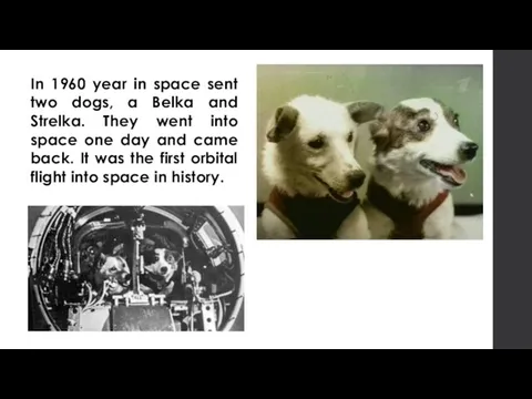 In 1960 year in space sent two dogs, a Belka and