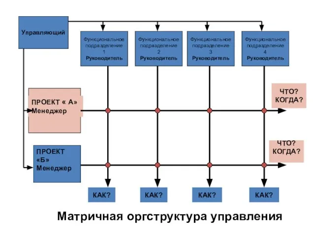 Управляющий Функциональное подразделение 1 Руководитель Функциональное подразделение 2 Руководитель Функциональное подразделение