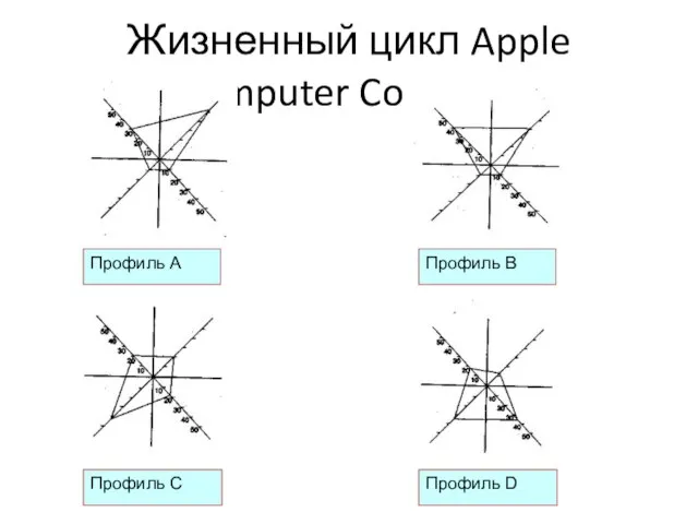 Жизненный цикл Apple Computer Company Профиль A Профиль B Профиль C Профиль D