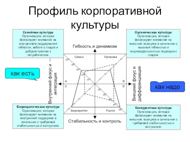 Профиль корпоративной культуры Семейная культура Организация, которая фокусирует внимание на внутреннем