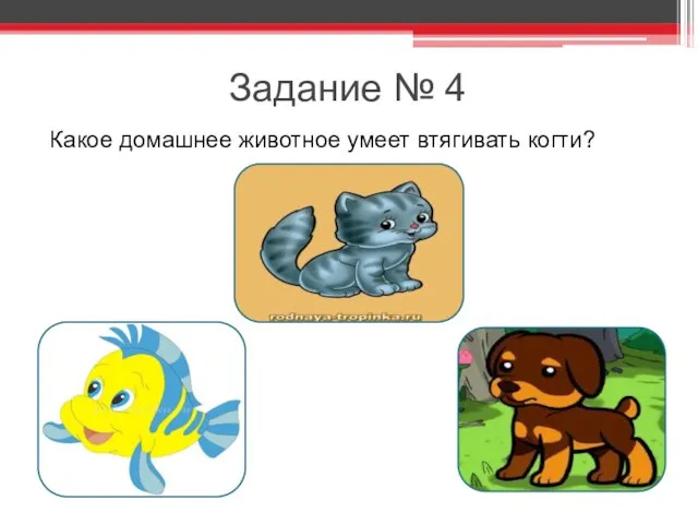 Задание № 4 Какое домашнее животное умеет втягивать когти?