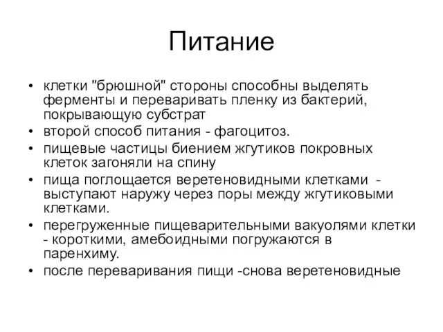 Питание клетки "брюшной" стороны способны выделять ферменты и переваривать пленку из