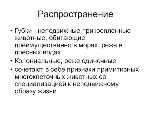 Распространение Губки - неподвижные прикрепленные животные, обитающие преимущественно в морях, реже